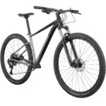 Bicicleta 29 Cannondale Trail SL 4 1x10 - Imagen 2